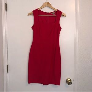 Banana Republic Pink Dress